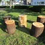 IMG_0589